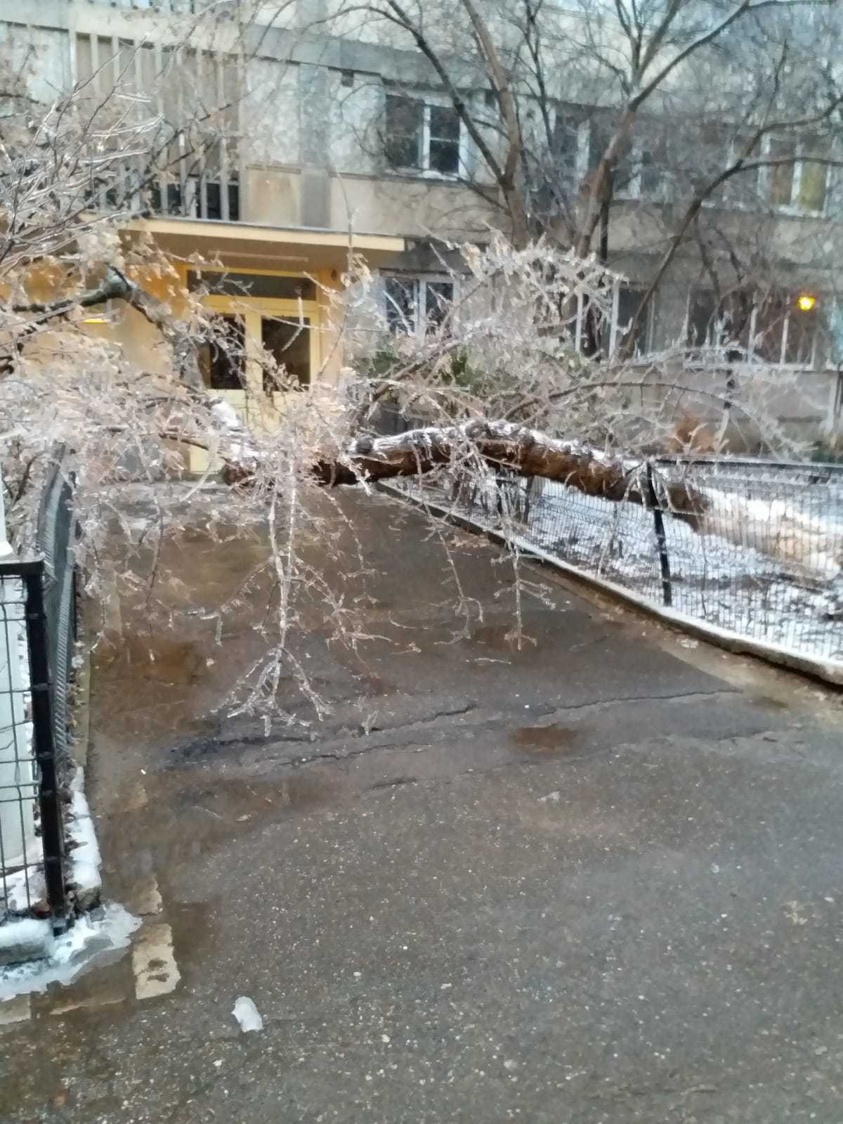 ploaie inghetata - 7