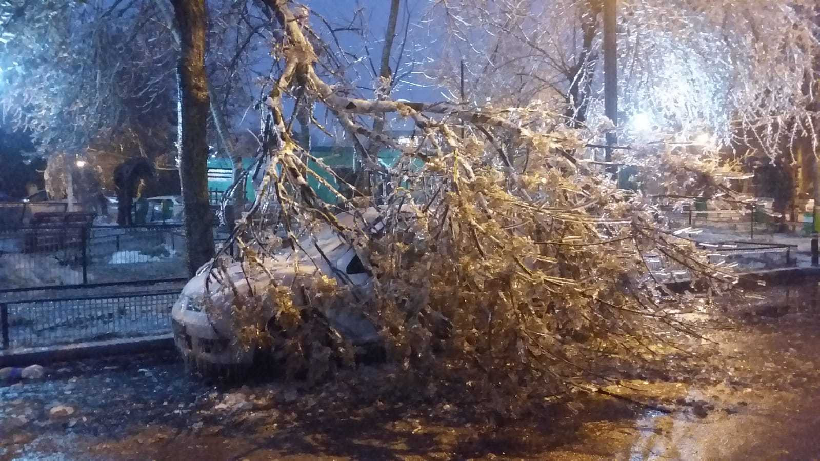 ploaie inghetata - 8