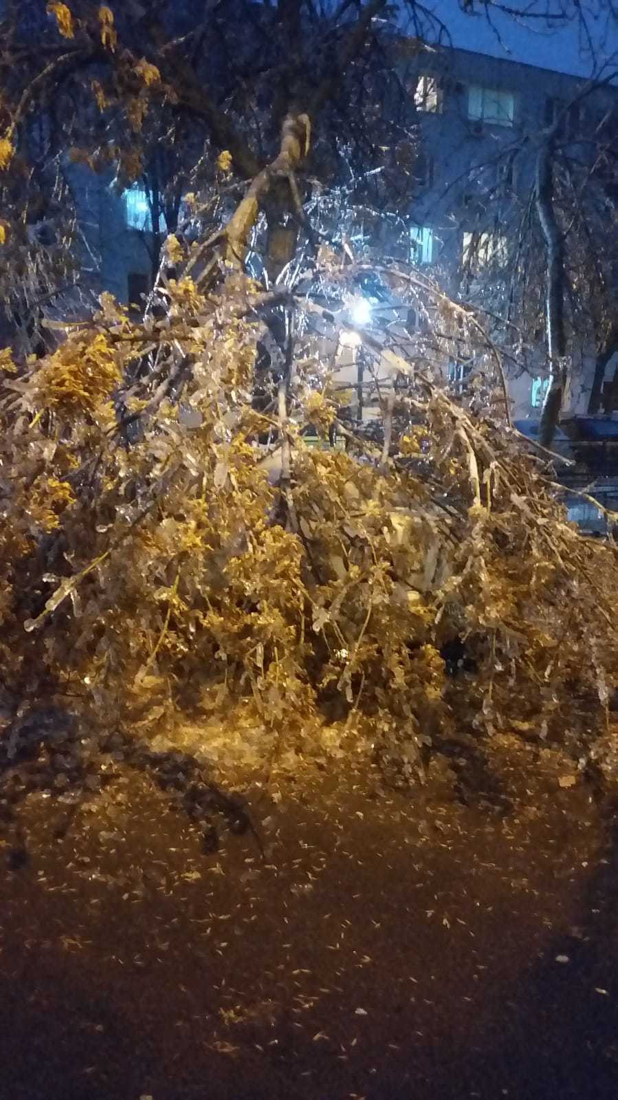 ploaie inghetata - 9