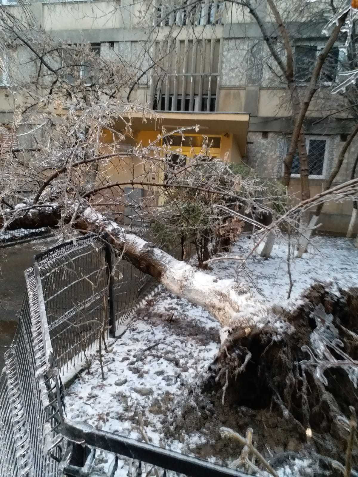 ploaie inghetata - 10