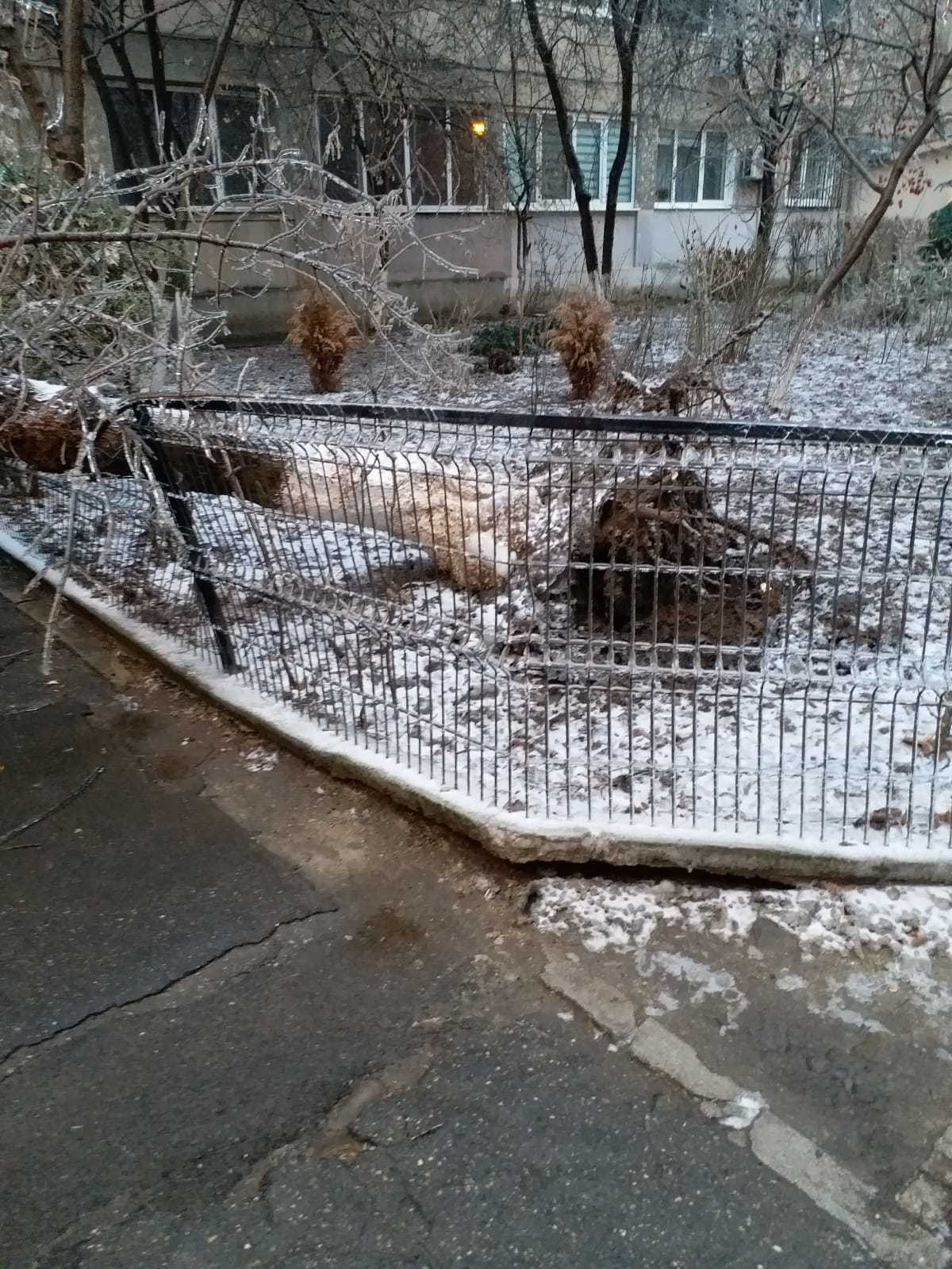 ploaie inghetata - 12