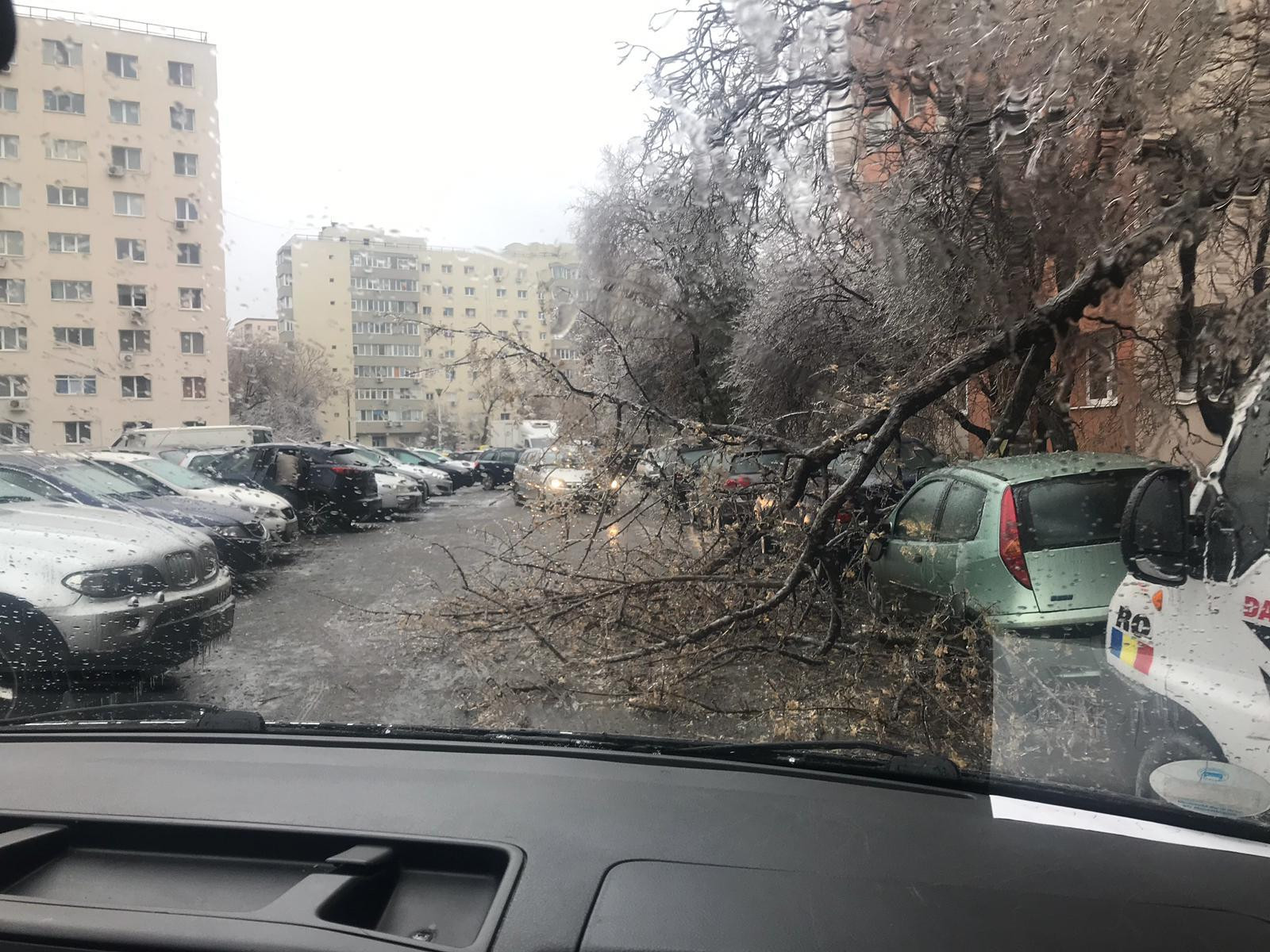 ploaie inghetata - 14