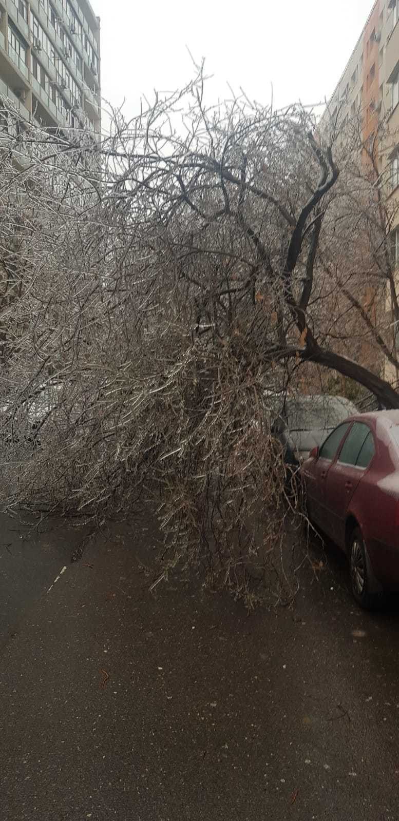 ploaie inghetata - 15