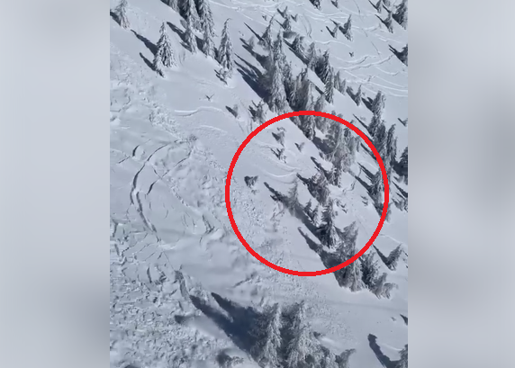 Momentul în care un schior este prins de o avalanșă în Munţii Bucegi. VIDEO