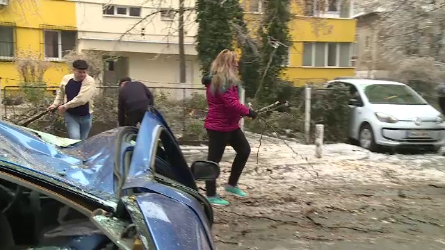 Masini distruse de copaci