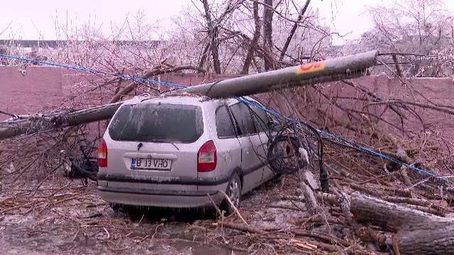 Copaci cazuti pe strada