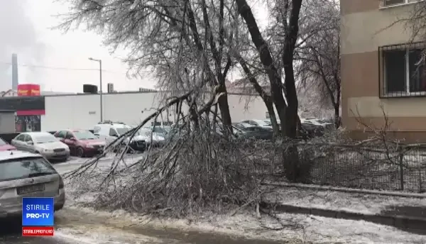 Speriați de căderea copacilor, mulți șoferi au mutat mașinile în parcarea unui supermarket