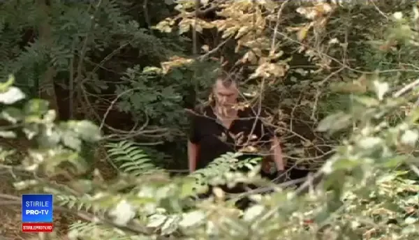 Mii de lilieci morți din cauza caniculei în Australia. ”Cel mai sever fenomen de acest tip”