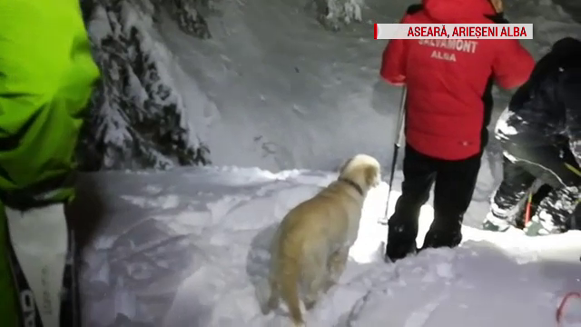 Trei turiști s-au abătut de la traseu, în Munții Apuseni. Apoi, au sunat panicați la 112