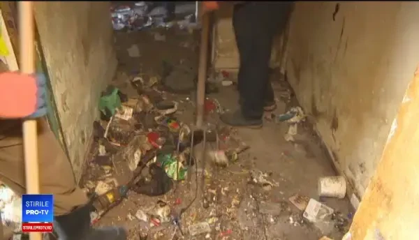 Apartamentul groazei, cu șobolani și tone de gunoaie. Imagini șocante filmate într-un bloc