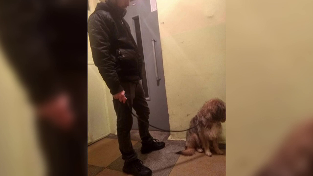 Barbatul cercetat penal că a lăsat să moară zeci de câini, filmat cum iese cu un câine din bloc