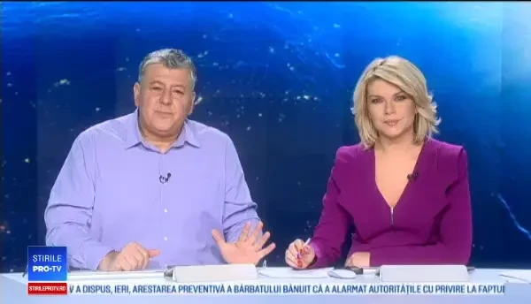 Pinguini pitici albaştri, furaţi din propriul cuib. Autorităţile din Noua Zeelandă au deschis ancheta