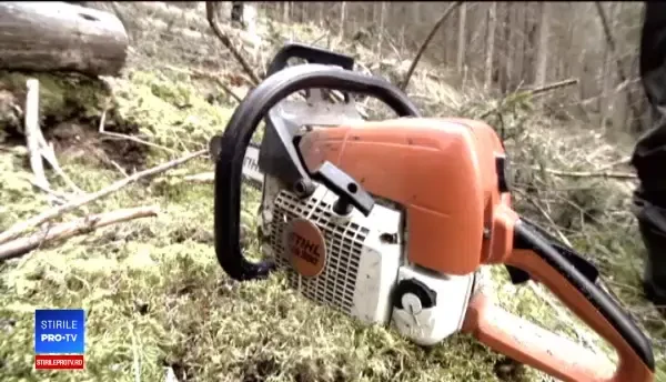 Filmul execuției cu drujba din Timiș. Victima a depus plângere la poliţie, dar a retras-o