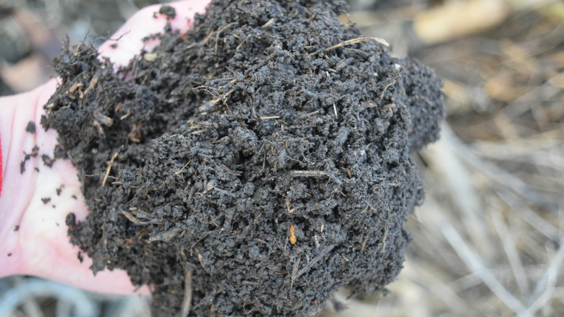 Agricultorul din Reghin care mândreşte cu recoltele de legume obţinute cu ajutorul compostului