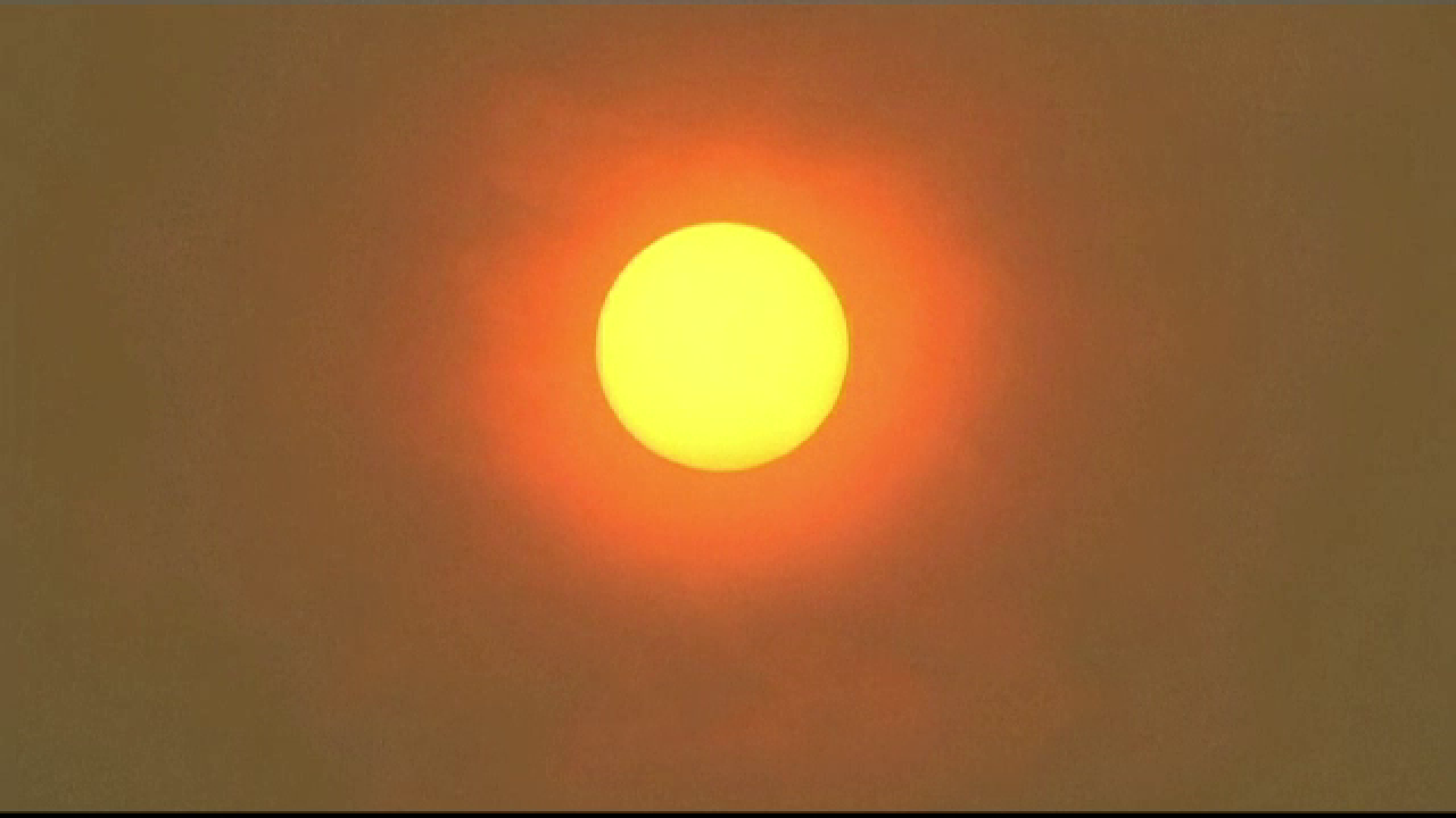 Record de temperaturi în Australia: 49 de grade Celsius. Efectele negative