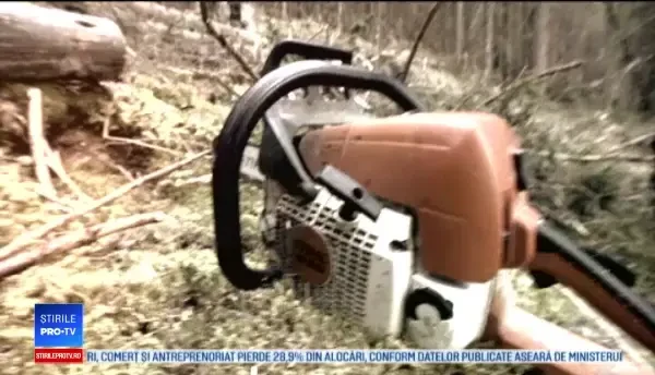 Măsura luată de autorități împotriva bărbatului care a decapitat un om cu drujba