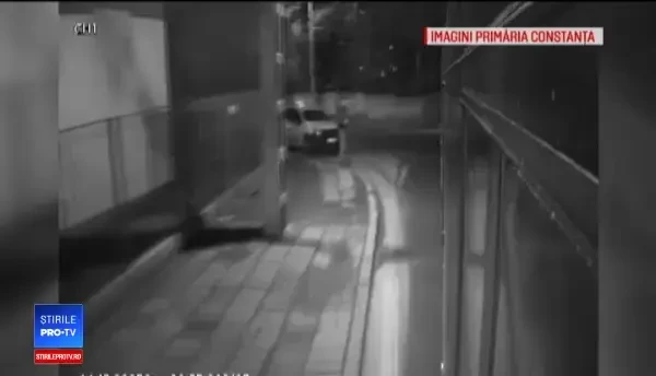 Tineri filmați cum atacă un autobuz cu pietre în Constanța. Un pasager a fost lovit în cap