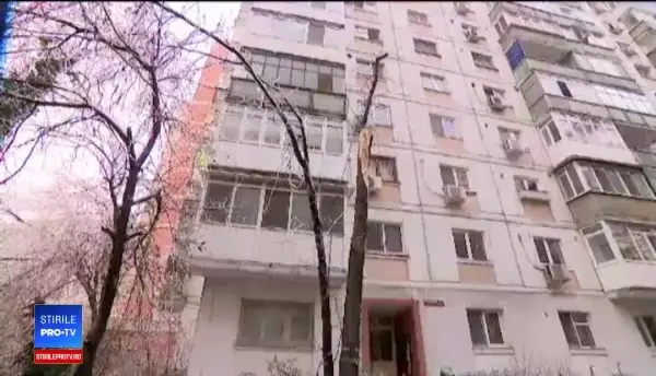 Apartament cu 2 camere, lux, zonă cu arbori care pică pe mașini. Cum să eviți astfel de surprize