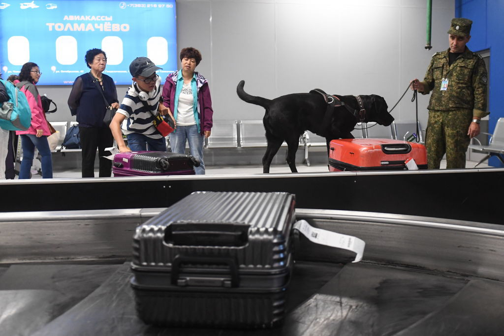 Descoperire uluitoare în bagajul unui pasager, în Aeroportul Hong Kong