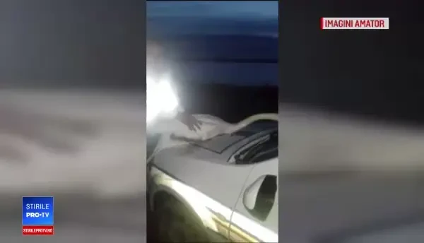 Lebădă salvată de un polițist dintr-o plasă de pescuit