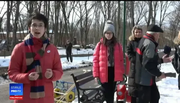 Semnele urșilor din Târgu Mureș despre primăvară. De 10 ani nu au greșit niciodată