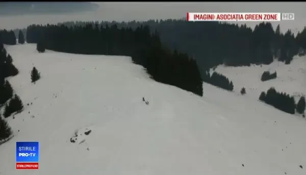 Turiști încântați în stațiunea Băile Tușnad: ”Nu credeam că există curse de genul acesta”