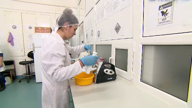 Milioane de euro pe seama copiilor. Ce am găsit în mezeluri şi brânzeturi pentru copii