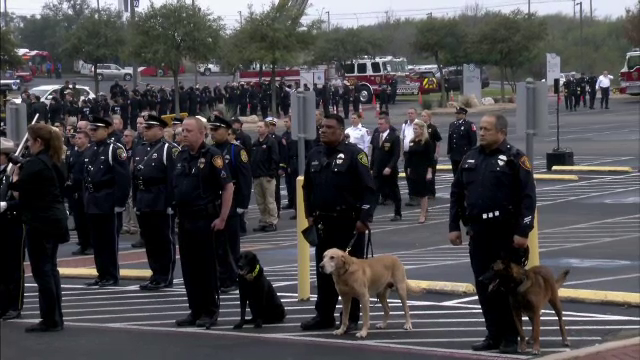 Funeralii impresionante pentru un câine al poliţiei din Texas, ucis la datorie