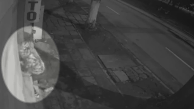 Ce a pățit un recidivist care a vrut să spargă geamul unui studio foto din Brăila