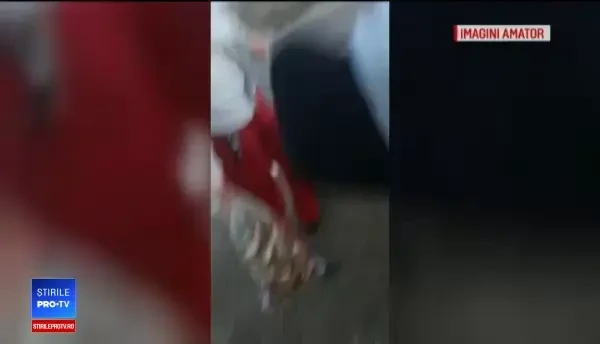 Deastru ecologic pe bălțile din București. Care este explicația: "M-am îmbolnăvit"