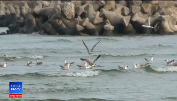 20 de hoteluri de pe litoral, pline de turiști veniți pentru aerosoli. Cât plătesc