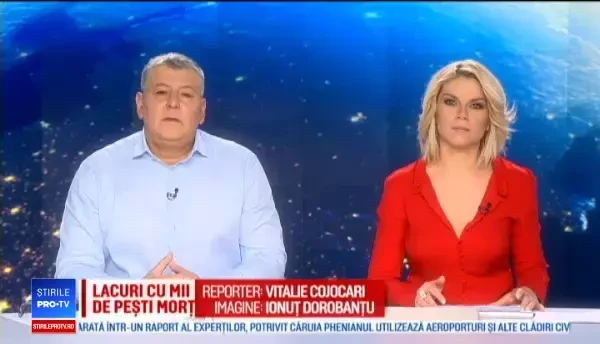 Un urs a fost văzut dând târcoale prin Miercurea Ciuc, în plină zi