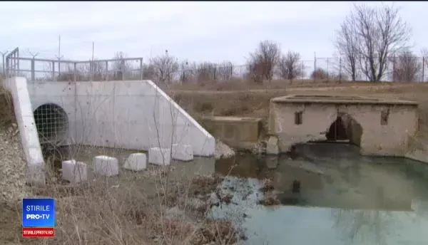 Peștii din bălţile Capitalei ar fi fost ucişi de avioane. CNAB ameninţă cu procesul