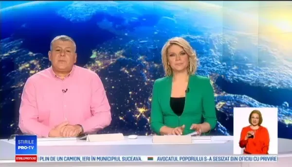 O pisică a supraviețuit miraculos după ce a fost găsită înghețată