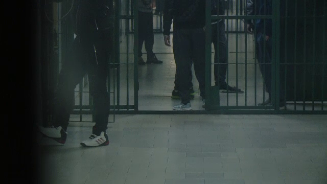 Companiile care nu găsesc angajați apelează la deținuți. Pe ce a cheltuit banii Petronel