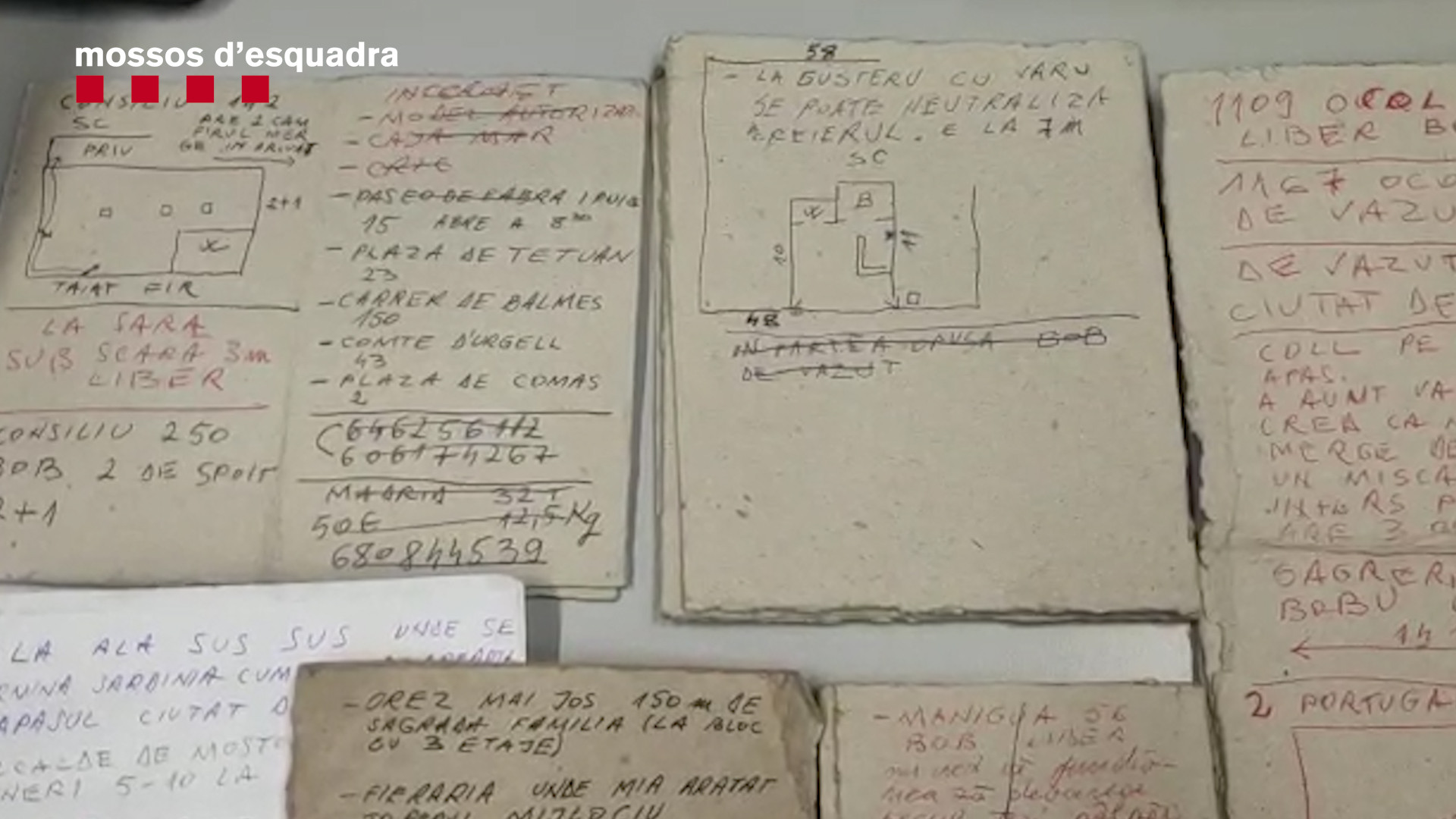 banda de hoti Catalonia