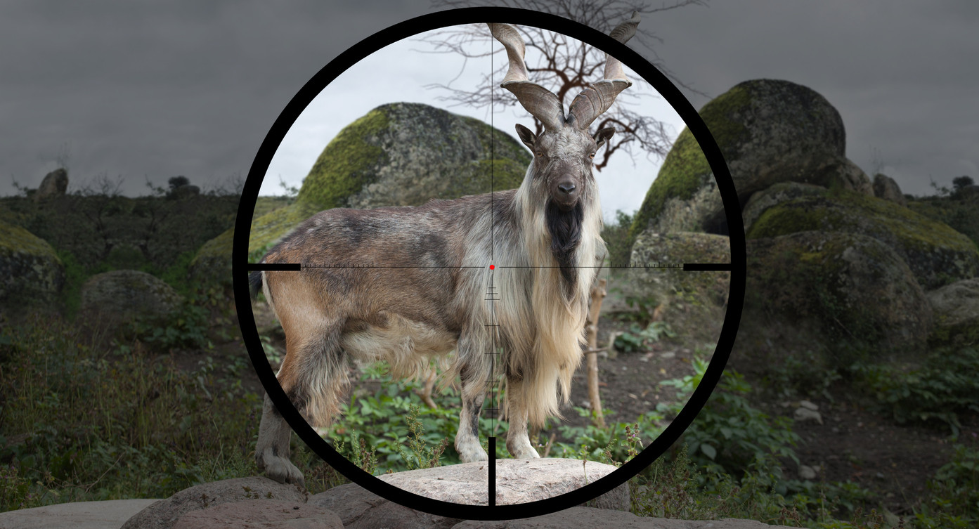 Un bărbat a plătit o sumă foarte mare de bani ca să ucidă un animal foarte rar