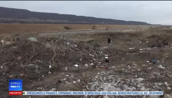 Câine masacrat cu focuri de armă, la marginea unui sat din Buzău. "Ne amuzăm omorând"