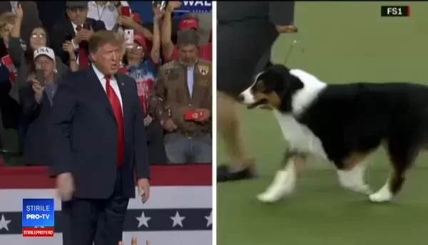 Trump admira câinii poliţişti, dar nu îşi doreşte un patruped la Casa Albă. Explicaţia preşedintelui