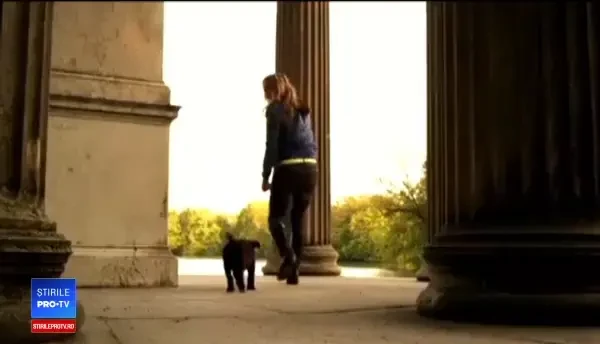 Trafic cu animale bolnave și fără acte. Autoritățile nu fac nimic să stopeze fenomenul