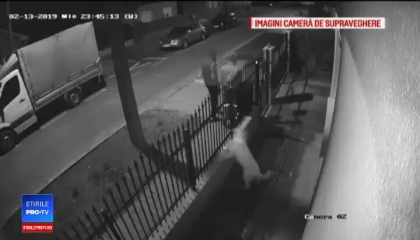 Hoțul care a furat labradorul s-a văzut la ProTV și a sunat stăpânul: ”Alo, eu sunt ăla”