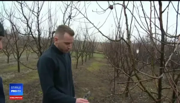 România are livezi, dar nu are recolte. Nu știm să lucrăm cu specialiști