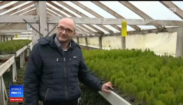 Afaceri cu lemnul rămas la ocoalele silvice. Decorațiunea care se vinde cu 500 de euro