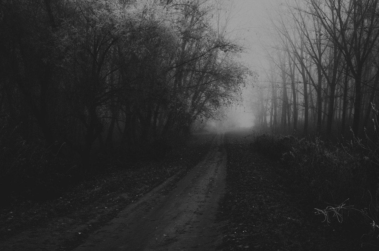 Adolescentă violată pe o cărare izolată, într-un parc. Martorii i-au auzit țipetele