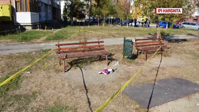 Mister în jurul cadavrului unui bebeluş găsit în parc. Mama, identificată după 4 luni