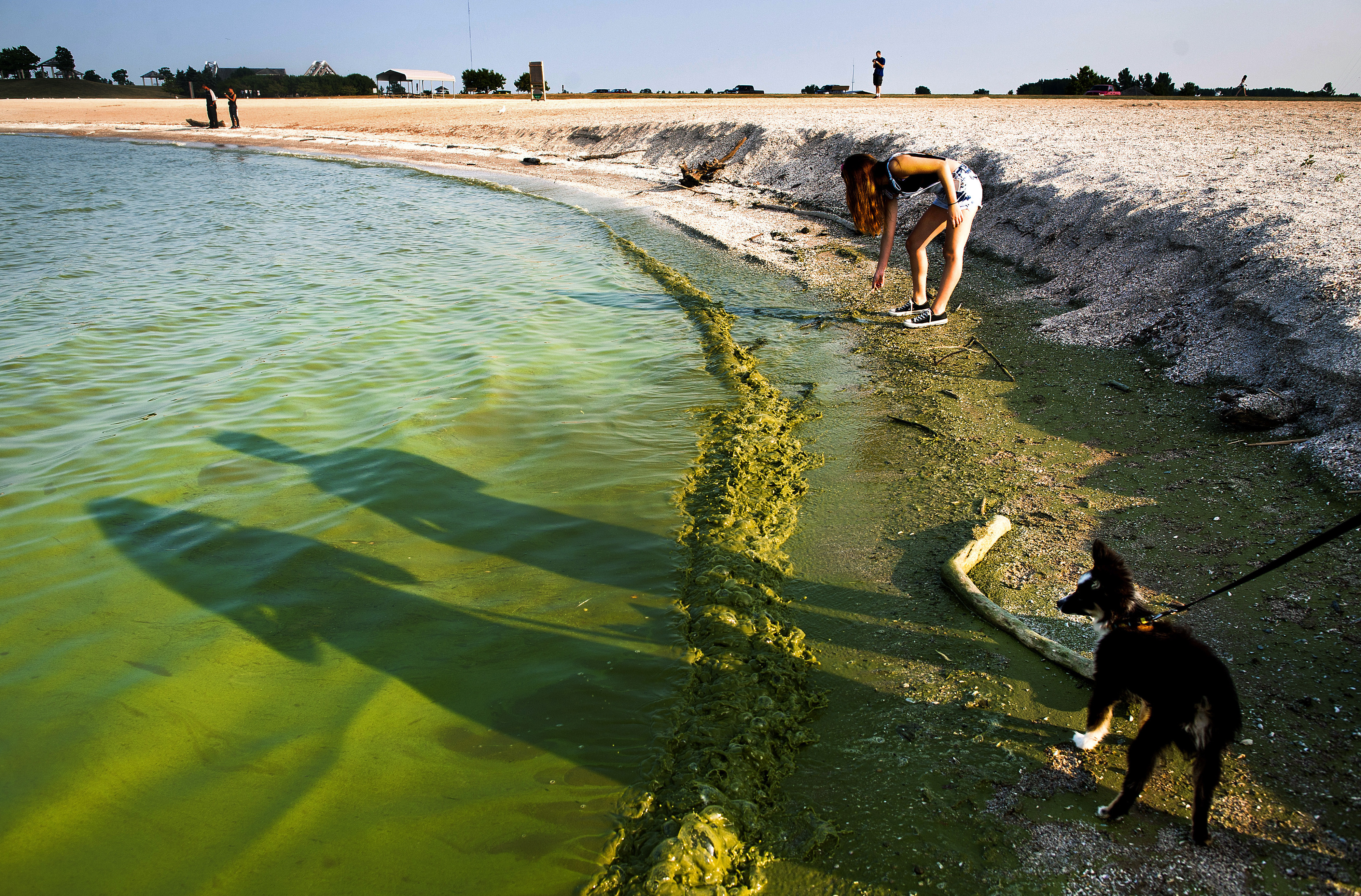 Motivul pentru care locuitorii unui oraș vor ca lacul Erie să capete statut de persoană