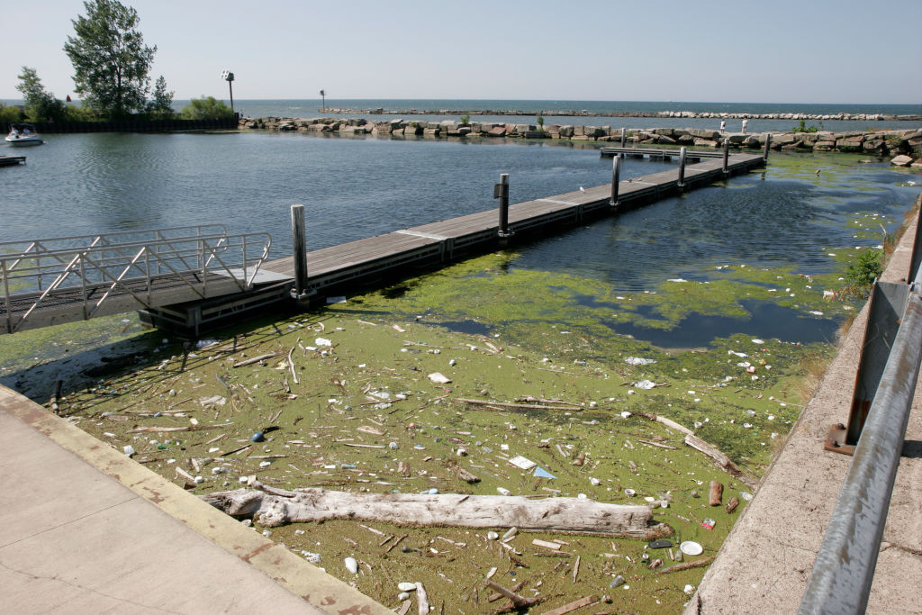 Poluare Lacul Erie