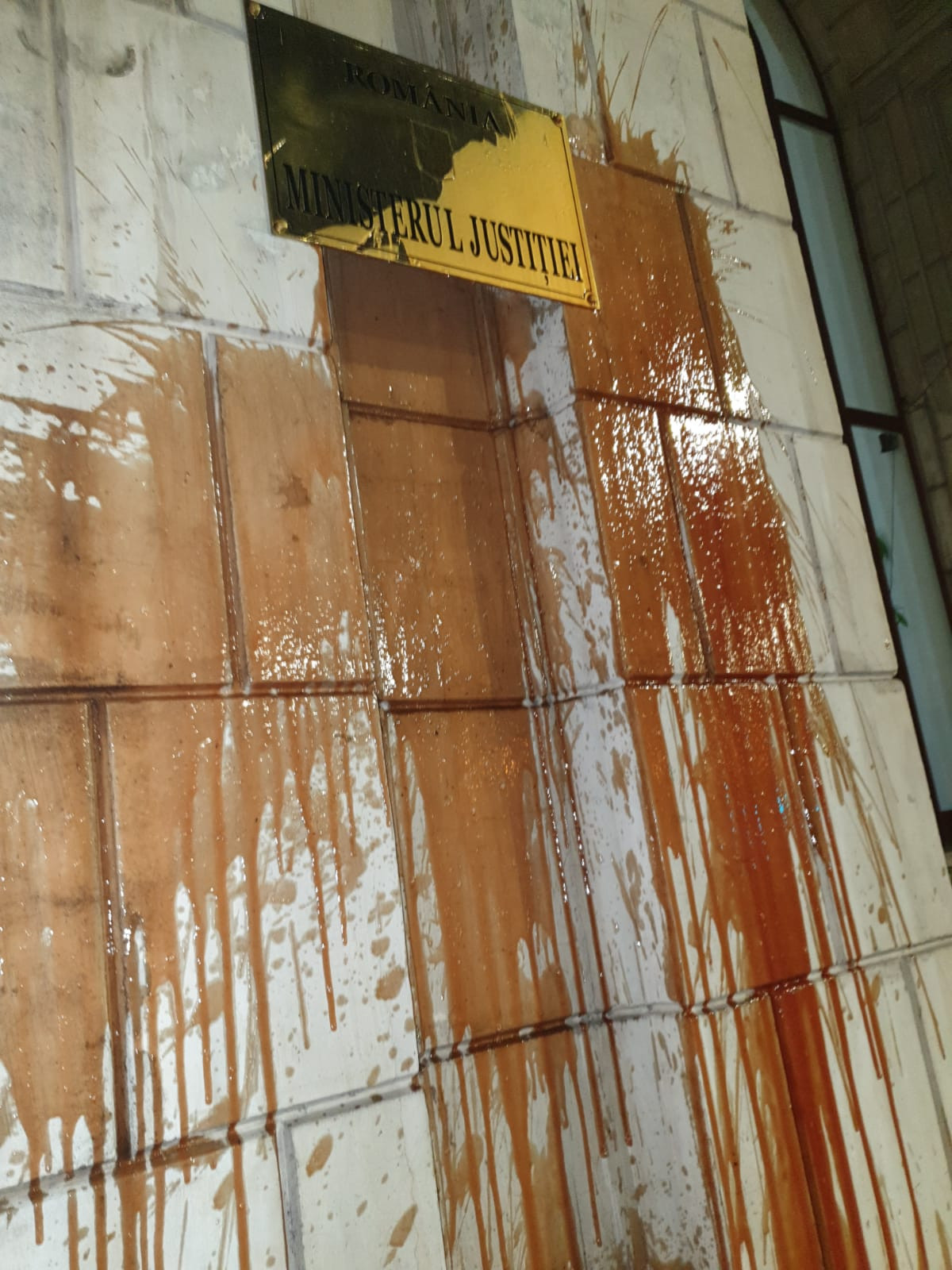 Ce sancțiuni au primit protestatarii care au aruncat cu ketchup în Ministerul Justiției