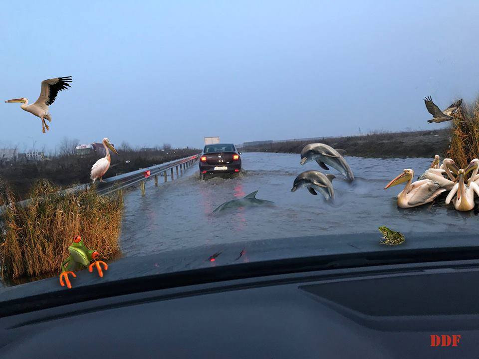 Pro Infrastructură, despre nominalizarea la Transporturi: ”O ciorbă proastă reîncălzită”