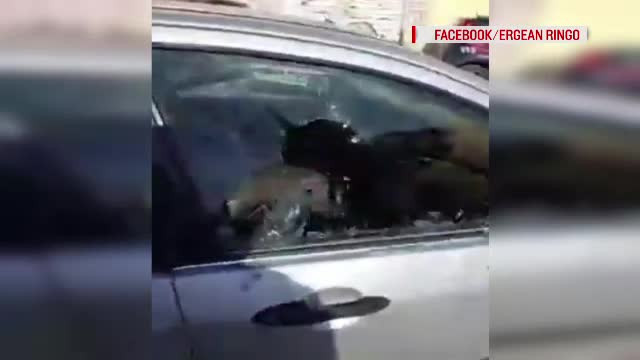 Un român din Italia și-a distrus mașina de față cu carabinierii, după ce i-au sechestrat-o